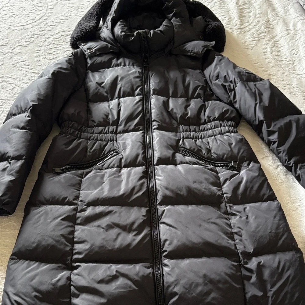 EUC Women's Black Puffer Down Coat trimmed removable hood Waist Defined by Coach